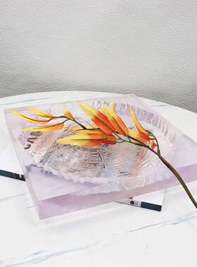 轻创意年轮透家明树脂果盘透明果盘居软装饰样品托盘奢板间桌面工