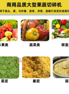 嘉航专业大型碎菜机商用菜馅机大容量果蔬切碎机跨境新果蔬打浆机