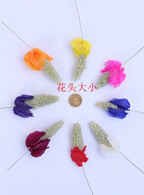 云南干花【含笑花】8色餐桌飘窗玄关客I厅束插花组合装饰花小华店