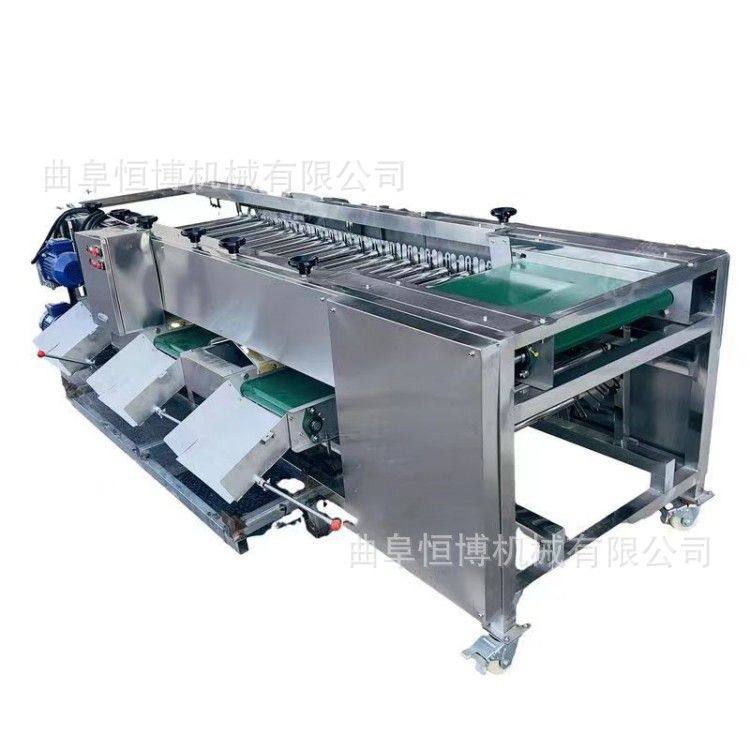 商用金桔选果机 多功能皮带式罗汉果松塔分级机 工业大枣选枣机,淘宝优惠券,粉丝福利购,淘宝优惠卷