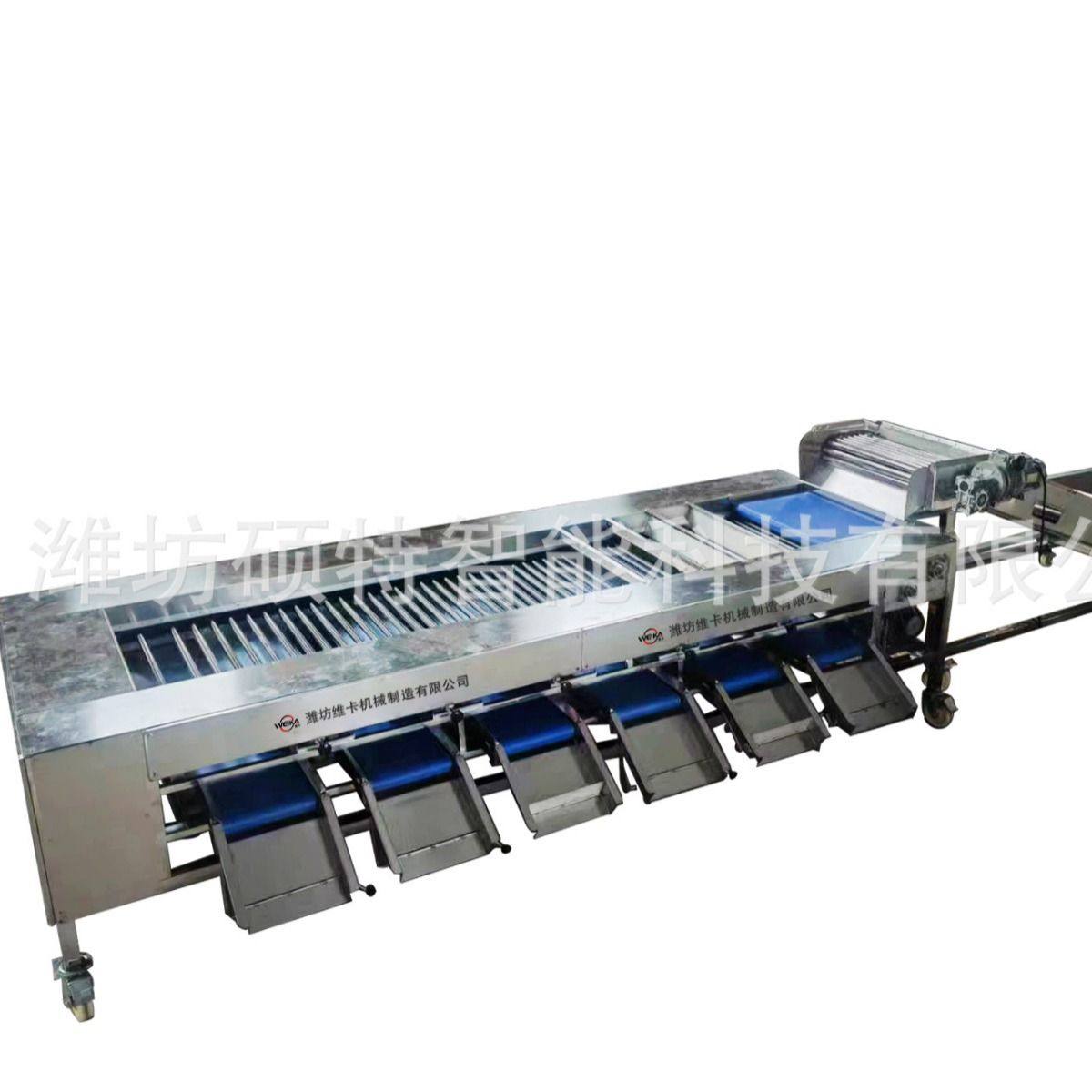 硕特滚杠式分选机 胡萝卜分选机 红薯分选机 快速分选设备,淘宝优惠券,粉丝福利购,淘宝优惠卷