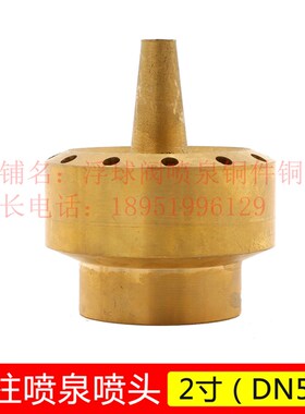 喷泉喷头万向可调直射喷头雪松涌泉花柱蘑菇扇形大口径DN40 DN50