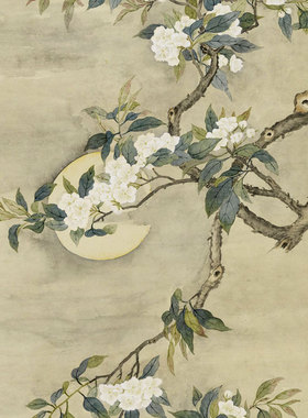 清邹一桂梨花夜月图卷轴画中式装饰画G花鸟画客厅沙发玄关茶楼挂