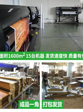立体感渐变入户玄关装饰画平面喷绘简约抽M象客厅沙发背景墙挂画