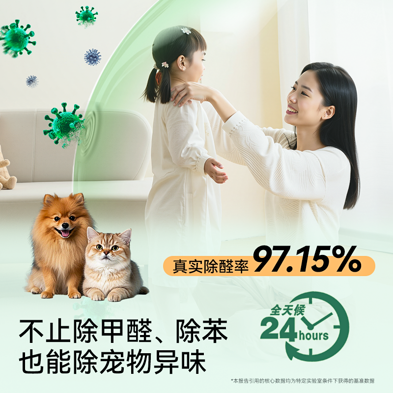 玉竹除甲醛贴片纸去异味神器新房装修急入住家用柜子吸附分解快速