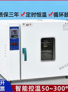 实验室电热恒温鼓风干燥箱工业烤箱小型烘箱改灯高温试验