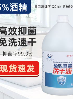 免洗洗手液包邮凝胶型大桶幼儿园补充装杀菌干洗抗菌酒精消毒液