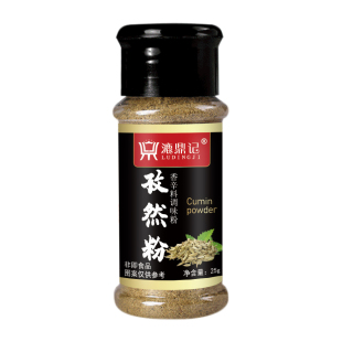 【漉鼎记】孜然粉蘸料烧烤烤肉撒料专用