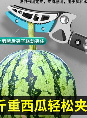田匠摘水果荔枝龙眼枇杷杨梅加长果树采摘果子神器高枝剪伸缩剪刀