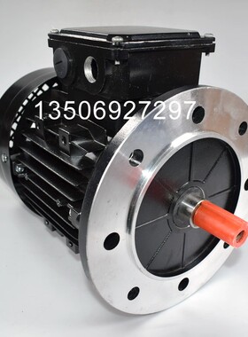 RIELLO燃烧器电机利雅路油泵电机RS70 RS100 RS130 RS190 RS250