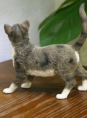 热仿销树刚毛猫真猫模型宠物咪车猫J095载摆件脂工艺品