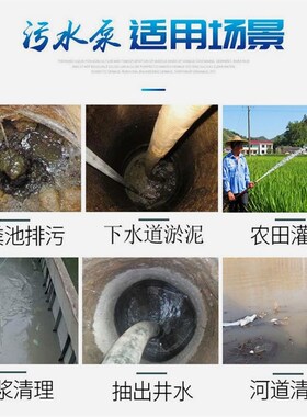 德国进口污水泵家用220V小型化粪池抽粪下水道切割排污高扬程潜水