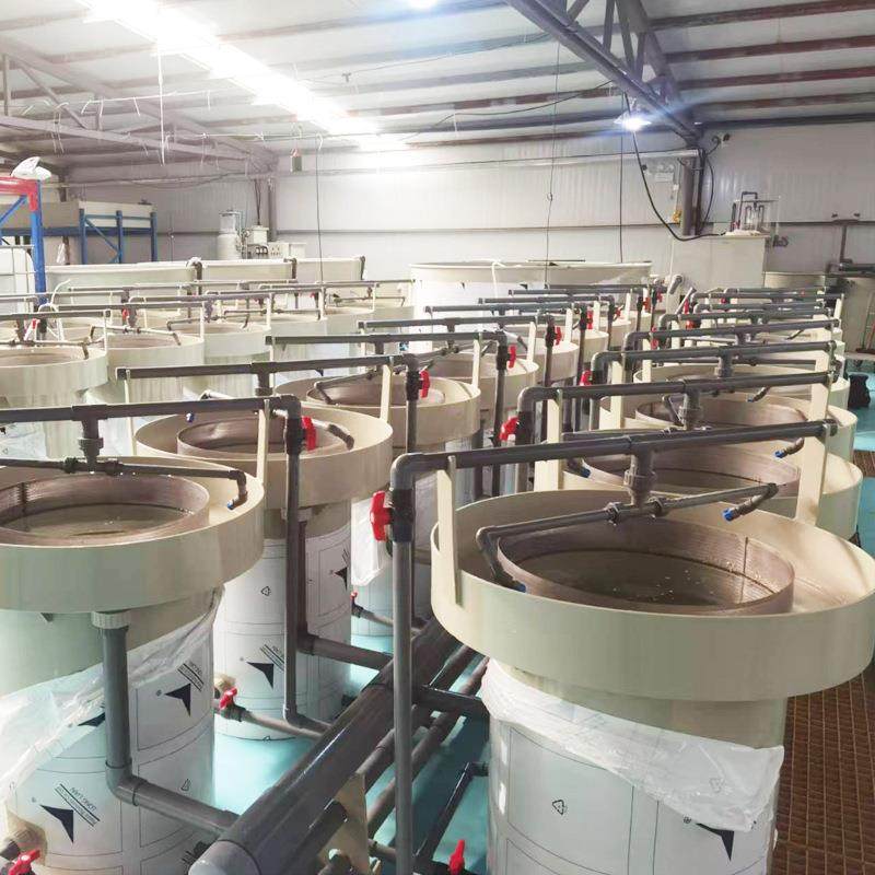 中山伊沃特一体化鱼苗孵化系统鱼苗虾苗孵化桶鱼卵孵化器,淘宝优惠券,粉丝福利购,淘宝优惠卷