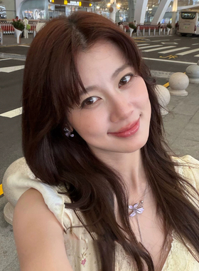 赵昭仪同款紫色鸢尾花流苏项链