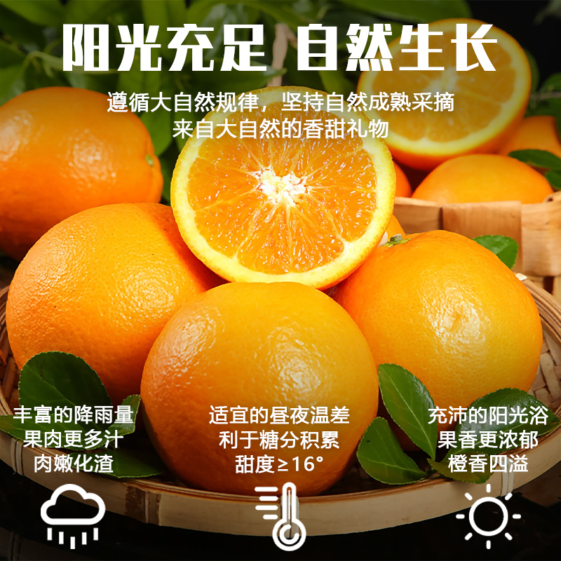 江西赣南脐橙当季新鲜水果整箱10斤正宗赣州特产甜橙子产地直发