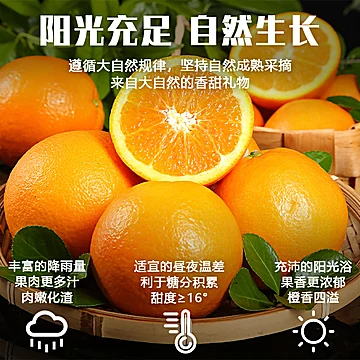 下拉抵~包售后！单果210g+江西赣南脐橙5斤[10元优惠券]-寻折猪