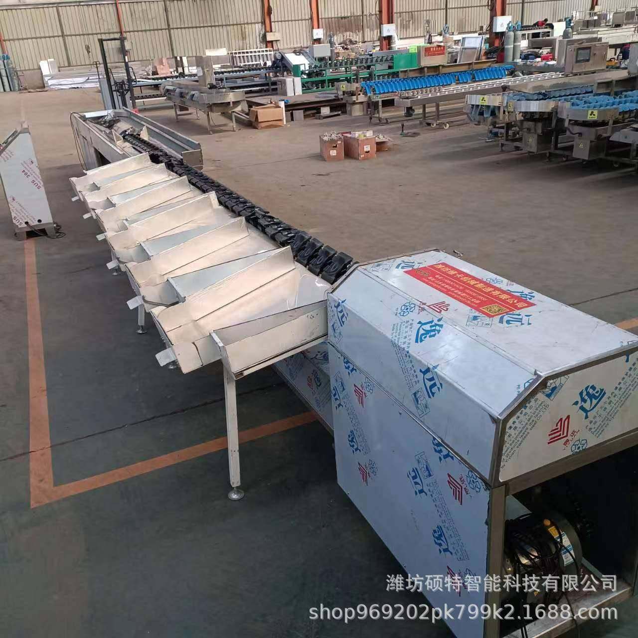 果蔬类称重分拣机料盒式自动分选机高精度车厘子樱桃大小选果机,淘宝优惠券,粉丝福利购,淘宝优惠卷