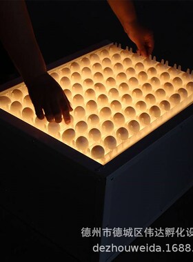 照蛋箱 照蛋器 孵化机专用鸡蛋种蛋检查设备工具led冷光照蛋器强