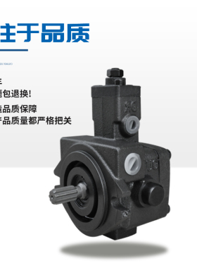 液压油泵变量叶片泵VP20VP08VP12VP1530VP40-FA3双联泵液压站配件