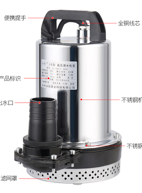 永陆2寸直流潜水泵电动车抽水机12V24V36V48V60V72伏高扬程大流量