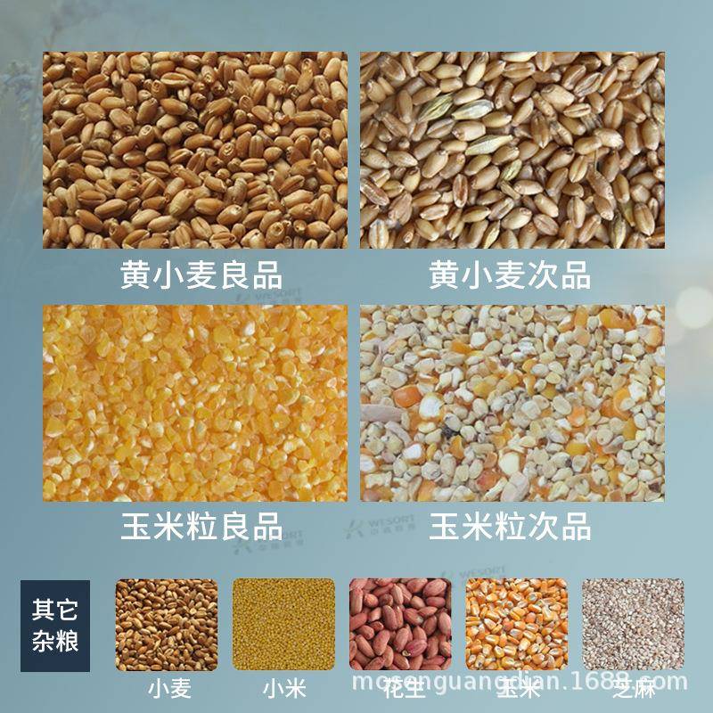 中小型色选机厂家全自动杂粮精选设备花生色选机智能杂粮色选机 - 图0