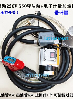 全自动抽油泵12V24V220V大流量功率柴油泵电子机械自封计量加油枪
