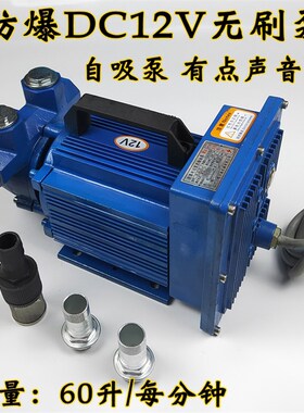 电动抽油泵12V24V220V无刷防爆汽油泵小型计量自吸泵静音卸油泵