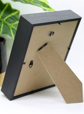 甲虫标本相框独角仙南洋大兜虫软装摆件J装饰品茶几家居北欧简约