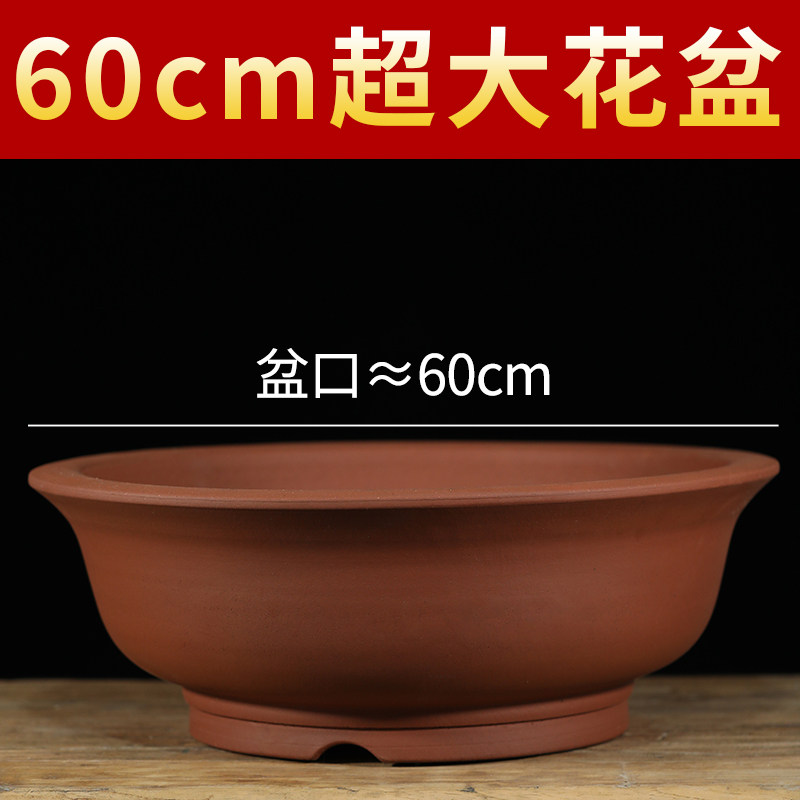紫砂花盆大口径30以上的盆景花盆种树大花盆陶瓷花盆户外庭院特价,淘宝优惠券,粉丝福利购,淘宝优惠卷