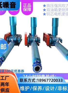 小型三叶罗茨鼓风机 涡流风机 除静电离子风机设备 气氧气泵