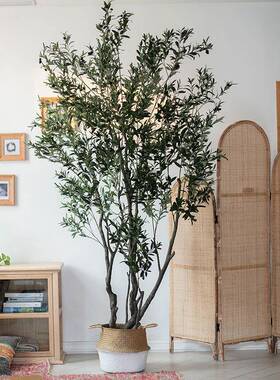 仿真橄榄树人工绿植塑料杆盆景大型植物假树北欧落地室内装饰摆件