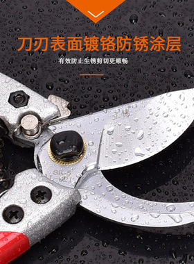台湾进口SK5钢材园林修剪树枝剪省力修花剪刀园艺剪修枝剪镀铬版