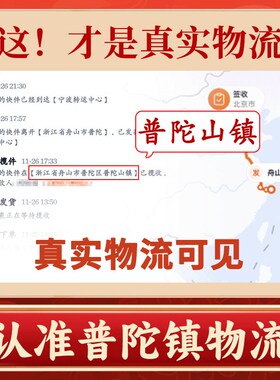普陀山天然黑檀木手镯新中式绿檀木血檀女生镯子木质檀香文玩饰品