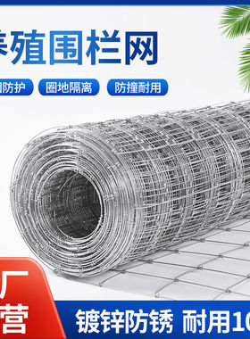 热浸镀锌铁丝网防锈养殖围栏网牛栏网圈地拦牛羊果园钢丝防护网