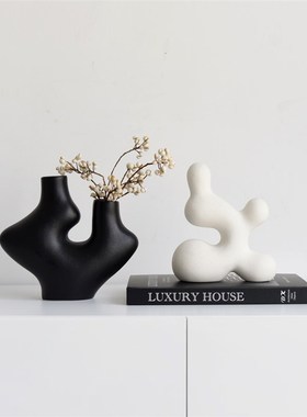 侘寂风高级感艺术异形装饰品摆件陶D瓷创意软装花瓶酒书柜抽象摆
