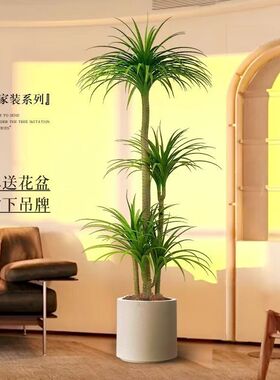 仿真绿植龙血树客厅轻奢风家居饰品玄关书房装饰大型假树盆栽摆件