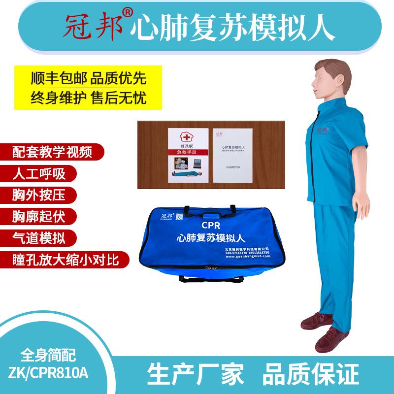 全身肺复苏心模拟人(简Z配)急教学模型581训练模型K/C救PR810A - 图1