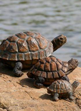 仿真动物乌龟树脂摆件户外花园别墅庭院水池鱼缸装饰布置造景极凯