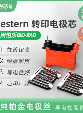 通用bio-rad伯乐小型转印 湿转转印电极芯电泳配件WB转印1703935