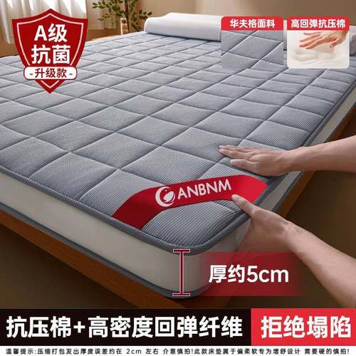 床垫软垫家用卧室床褥垫180x200学生宿舍单人租房专用榻榻米垫子 - 图2