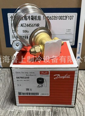 原装 空调 丹佛斯热力膨胀阀 TE5 067B3250 3251 067B3342 3278