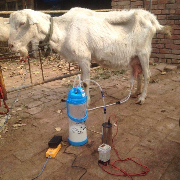 电动小型挤羊牛奶器吸羊奶机器家用羊牛用挤奶器4斤装2L3L脉冲,淘宝优惠券,粉丝福利购,淘宝优惠卷