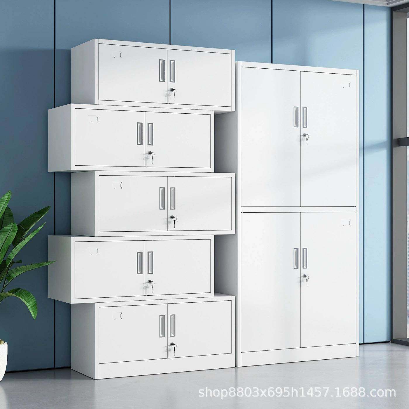 SDL-0009钢带制文件柜办公室铁皮料资柜财务凭证锁档案柜储色物带,淘宝优惠券,粉丝福利购,淘宝优惠卷