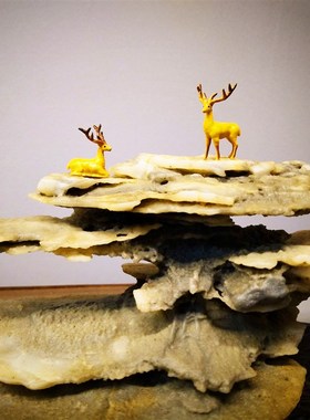 热卖创意树脂动物小鹿摆件奇石假山盆景鱼缸沙P盘枯山水微景观装