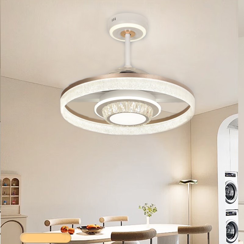 2025新款餐厅隐形风扇吊灯简约现代静音高级感客厅卧Y室书房吊扇 - 图1