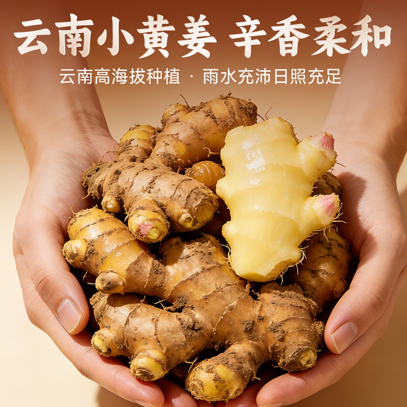 阿养元红糖姜枣茶大姨妈姜汁红糖水生姜体寒宫寒气血月经女姜茶