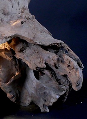 厂家销售手工工艺木质台灯落地灯民宿餐厅咖啡馆朽木Y树枝装饰灯