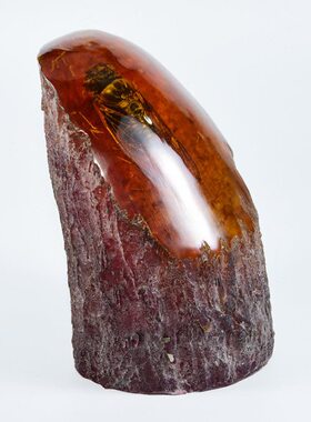 中号人造琥珀知了标本树脂工艺品 真昆虫动物原石化石虫珀摆件