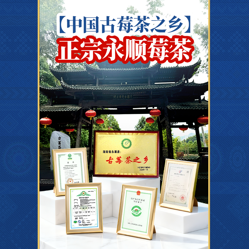 莓茶永顺官方旗舰店美丽张家界特级野生芽尖湖南湘西特产养生藤茶,淘宝优惠券,粉丝福利购,淘宝优惠卷