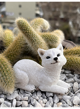 九尾狐狸多肉花盆景m装饰摆件户外微景观猴尾柱造景白色小狐狸尾